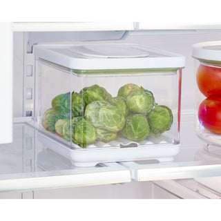 iDesign iDFresh BPA-Free Recycled Plastic Produce Storage Bin, Small - iDesign-Food Storage