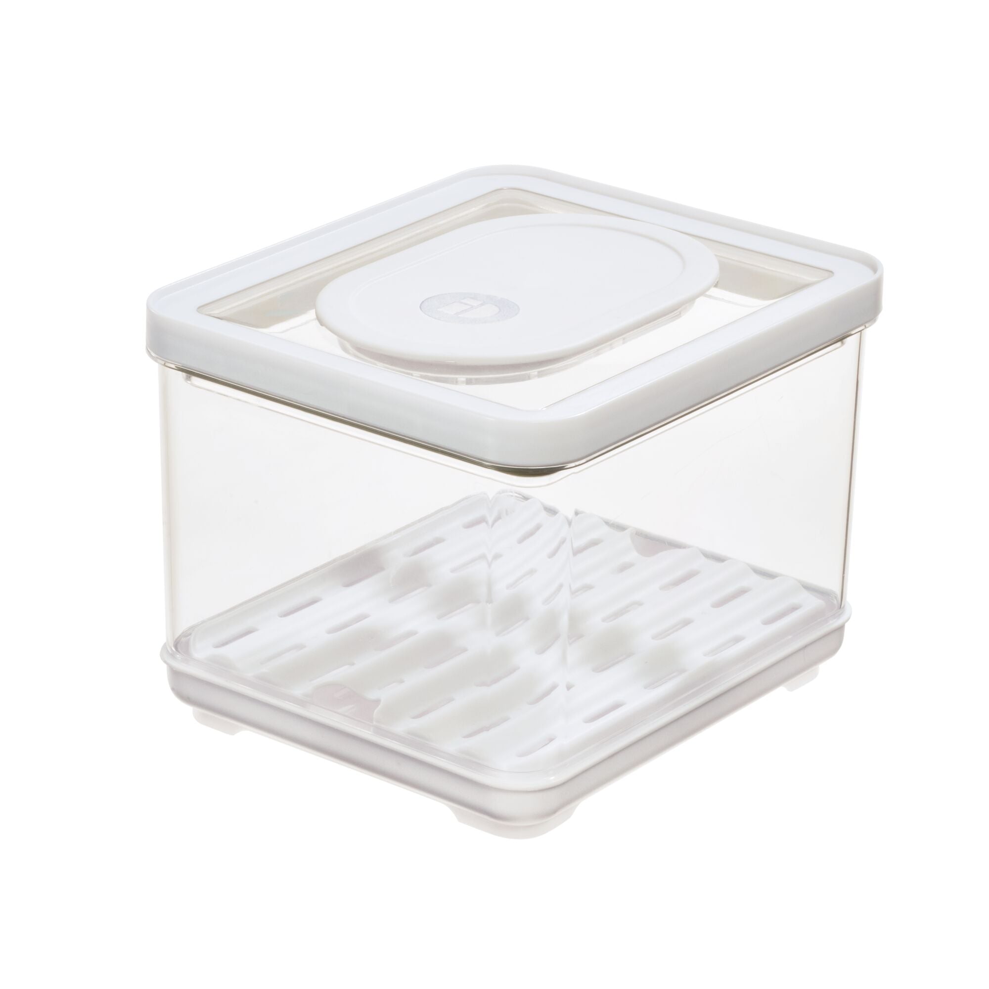 Fresh 'n Store Small Produce Storage Container